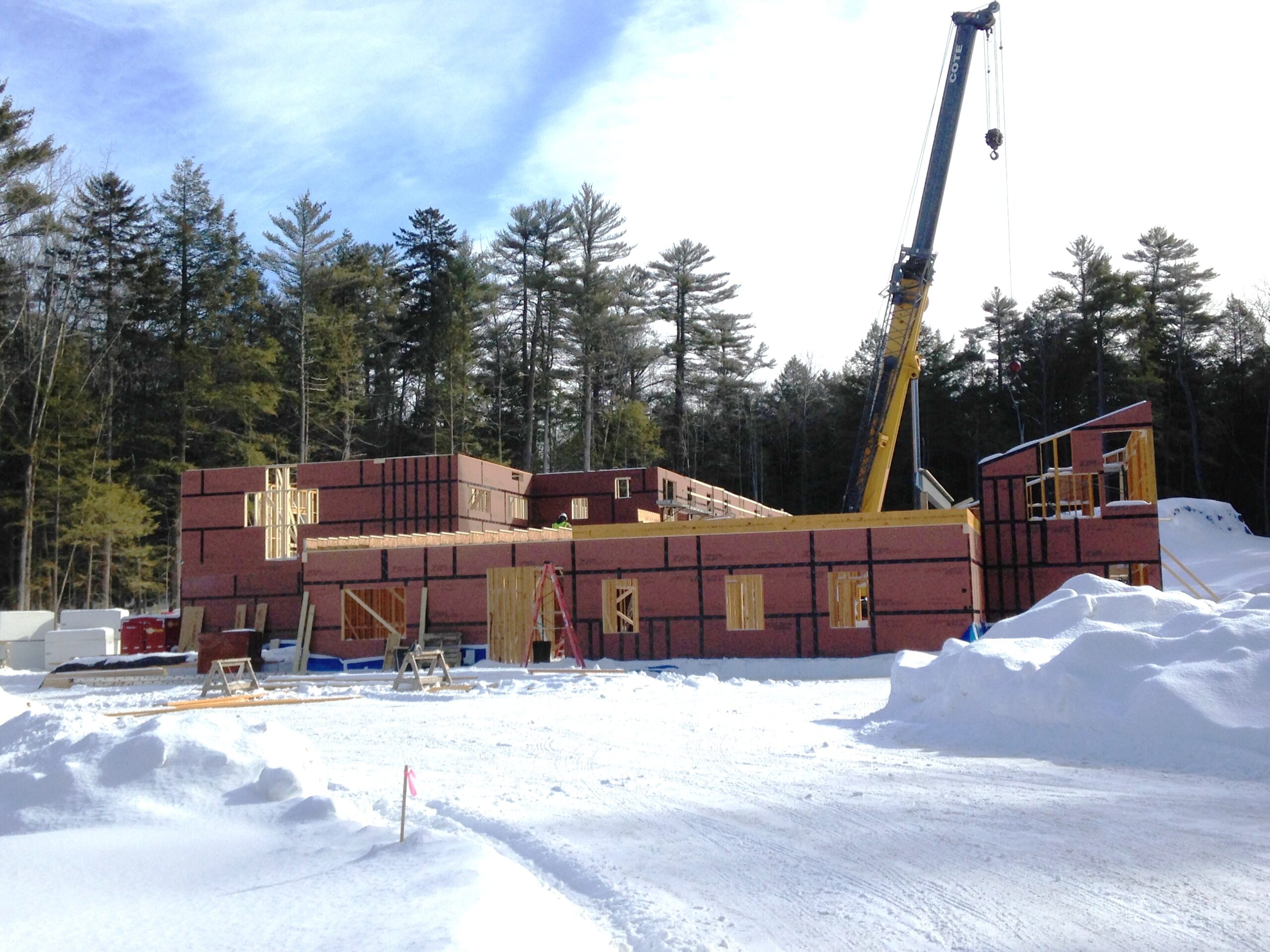 Crane for Panelization building 