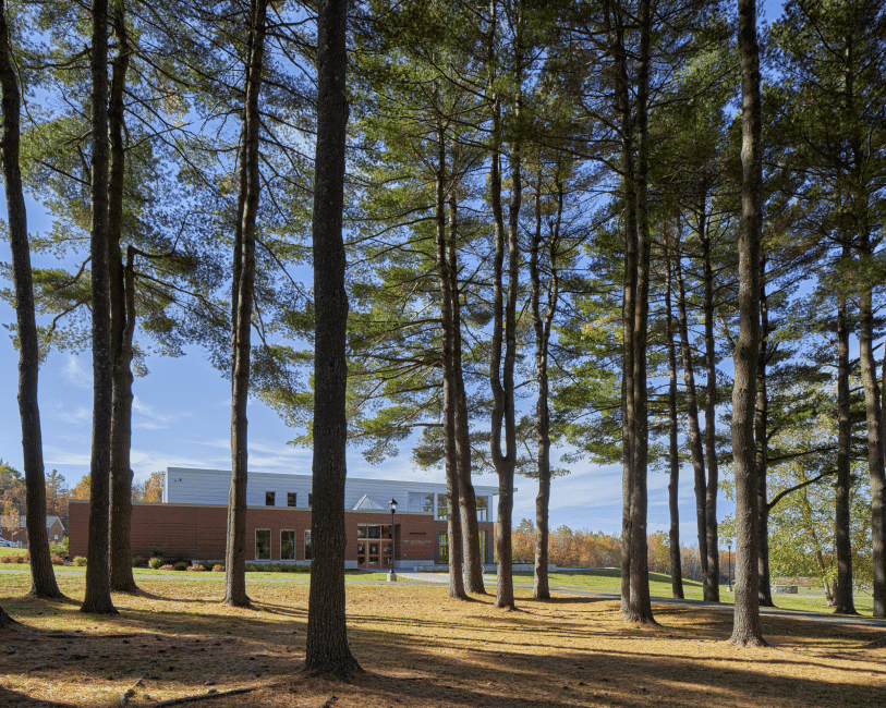 kents_hill_through_the_pines